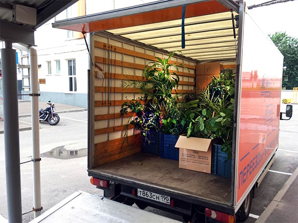 Авто для перевозки растений